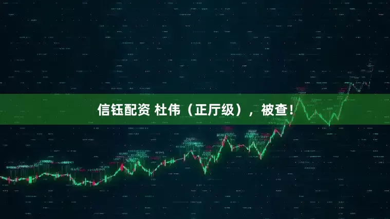信钰配资 杜伟（正厅级），被查！