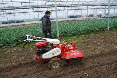 余姚市:先进机械引领现代农业发展
