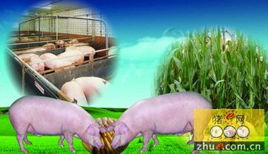 展望“十三五”:青海海东农牧重点项目拟投资261亿元_行业新闻_器械设备_猪e网